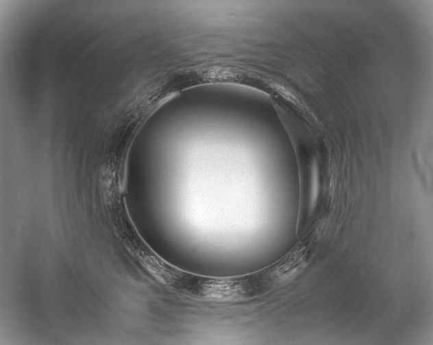 X0000059070521200510071112