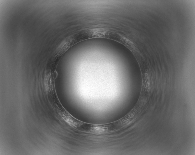 X0000059070522200510071112
