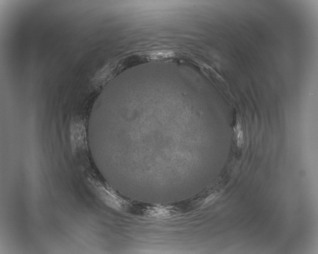 X0000059070523200510071112