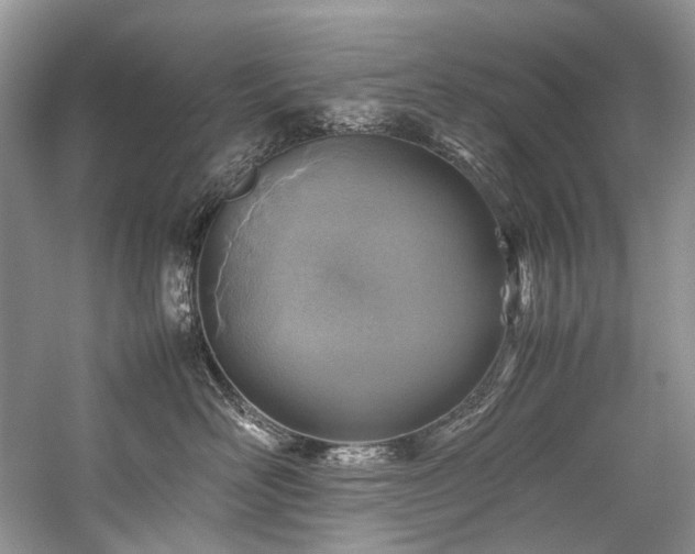 X0000059070526200510071112
