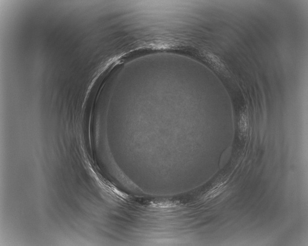 X0000059070540200510071111