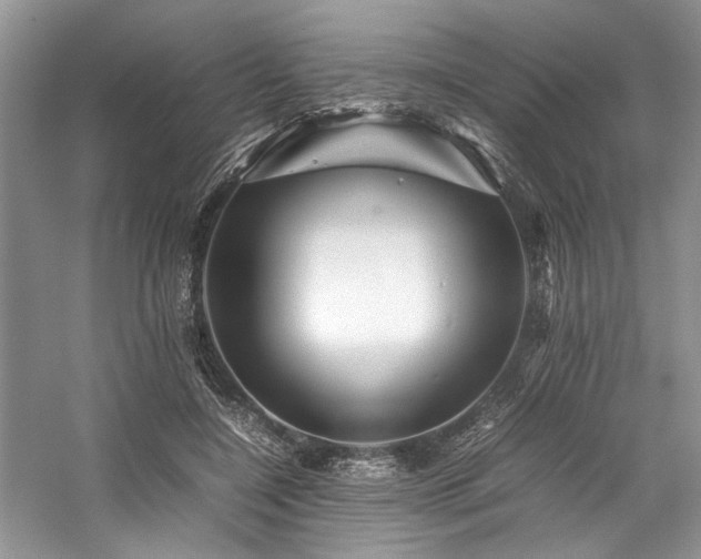X0000059070548200510071111