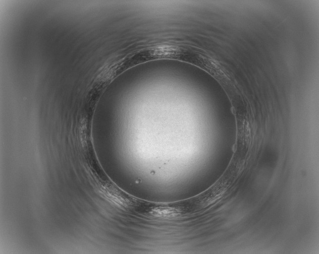 X0000059070557200510071111