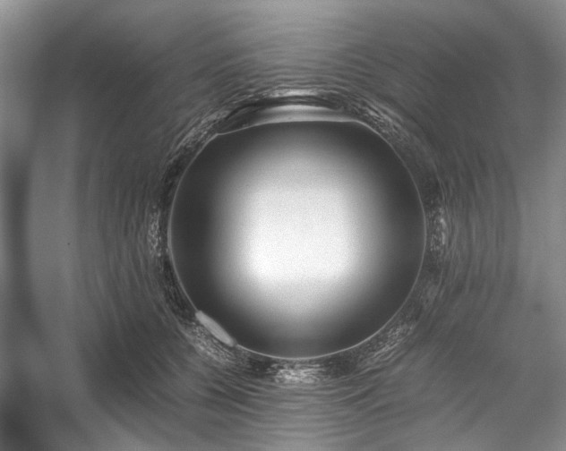 X0000059070560200510071111