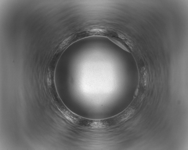 X0000059070562200510071112