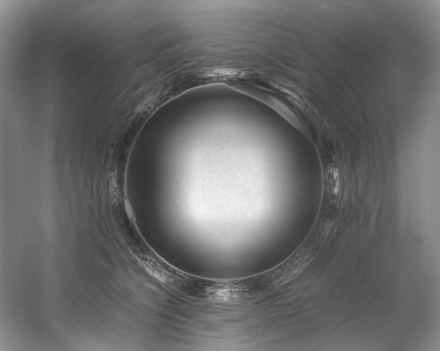 X0000059070564200510071112