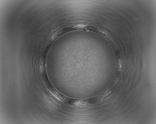 X0000059070568200510071112