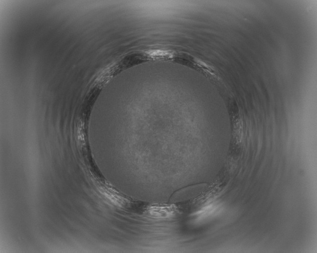X0000059070571200510071112