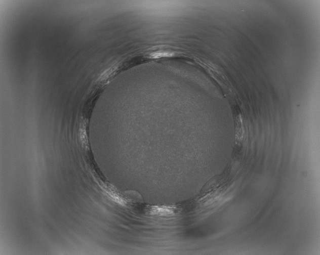 X0000059070573200510071112