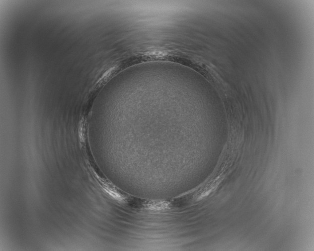 X0000059070576200510071112
