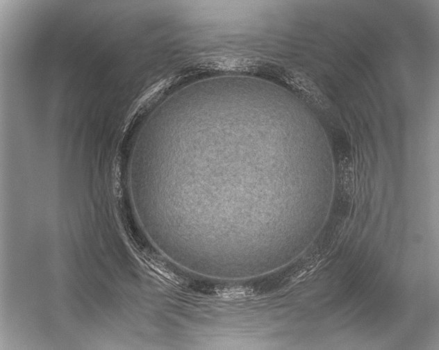 X0000059070587200510071111