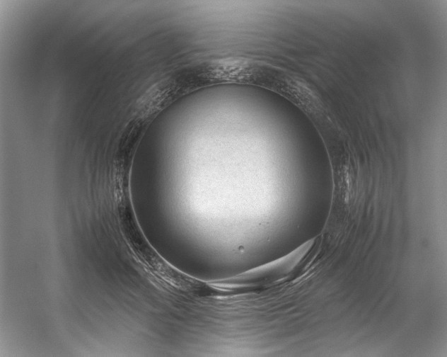 X0000059070602200510071110
