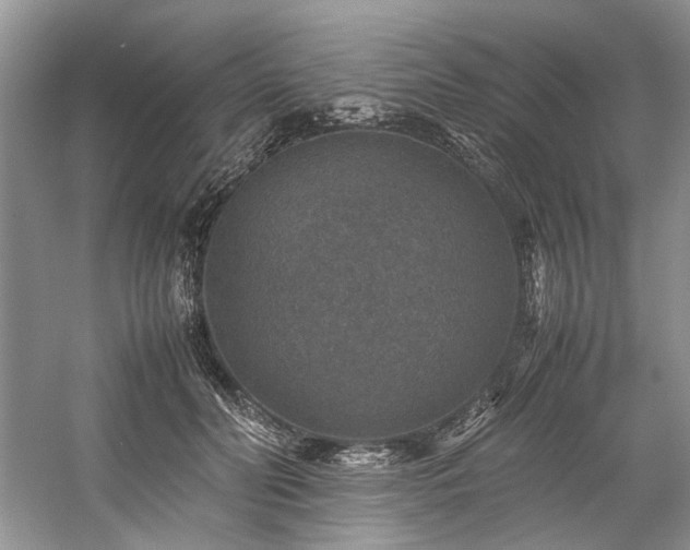 X0000059070606200510071110