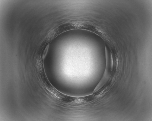 X0000059070609200510071110
