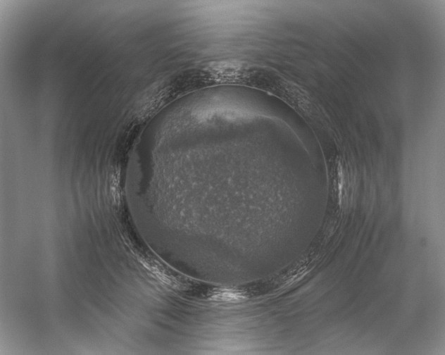 X0000059070610200510071110