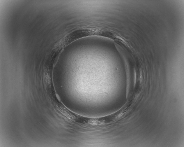 X0000059070613200510071110