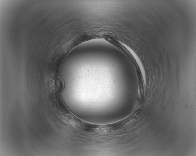 X0000059070615200510071110