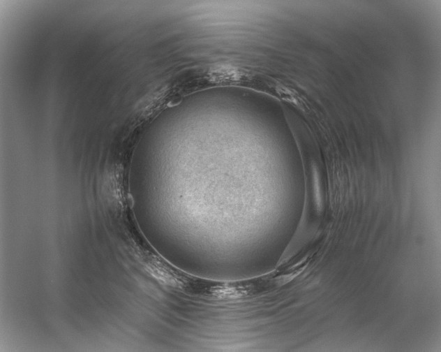 X0000059070616200510071110