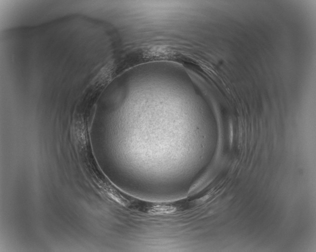 X0000059070617200510071110
