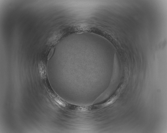 X0000059070624200510071110