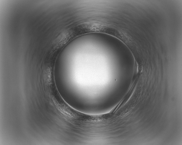 X0000059070646200510071110