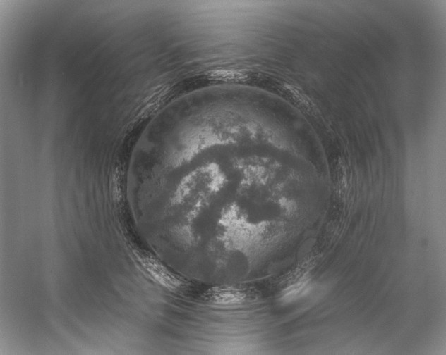 X0000059070658200510071110