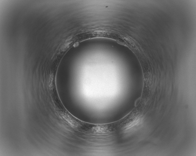 X0000059070660200510071110