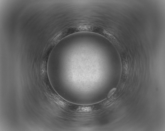 X0000059070665200510071110