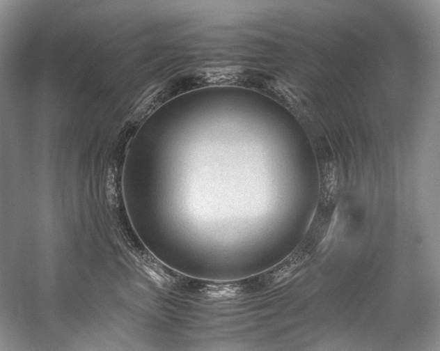 X0000059070667200510071110