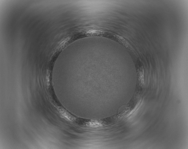 X0000059070668200510071110