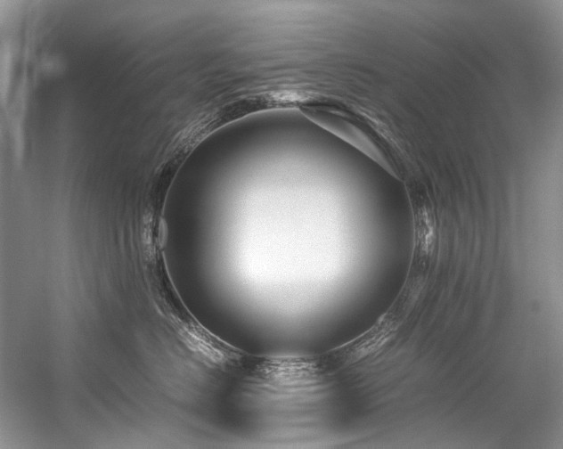 X0000059070670200510071110
