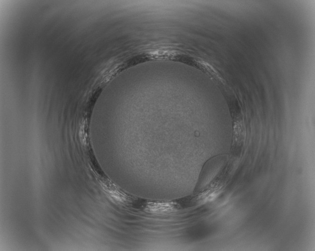 X0000059070671200510071110