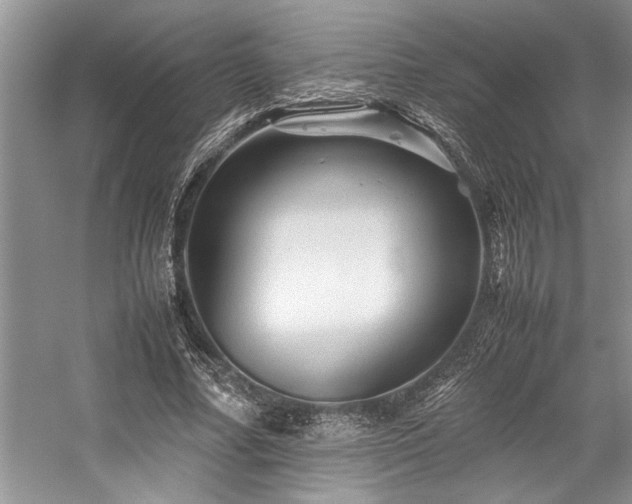 X0000059070682200510071109