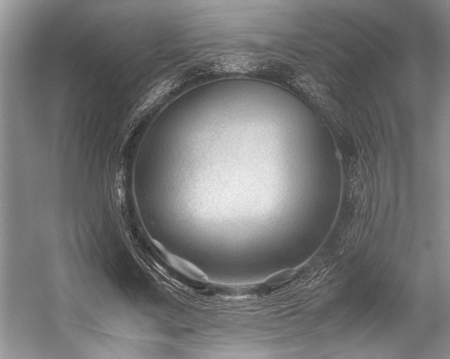 X0000059070683200510071109