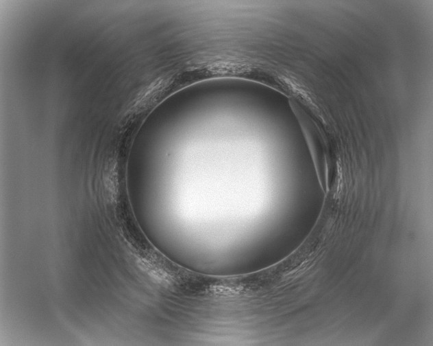 X0000059070690200510071109