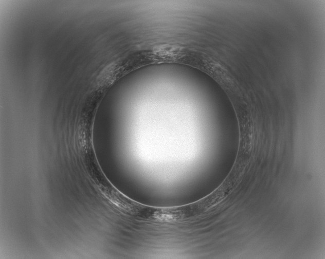 X0000059070706200510071109