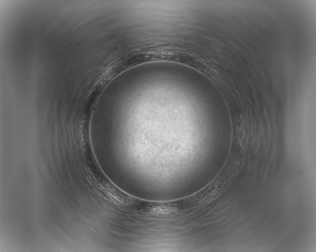 X0000059070708200510071109