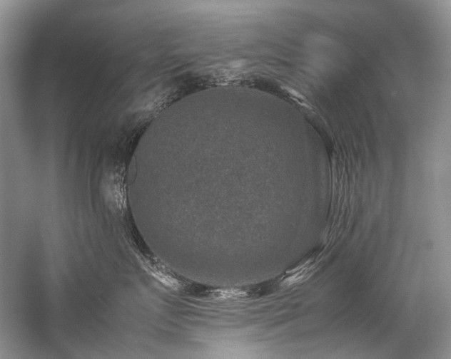 X0000059070719200510071108