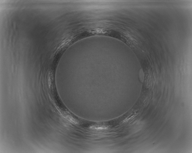 X0000059070747200510071108