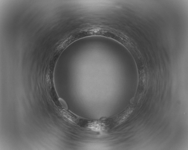 X0000059070754200510071108