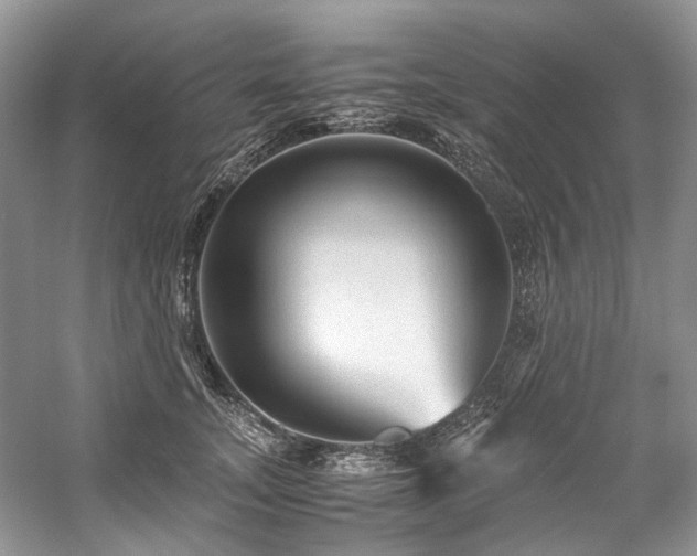 X0000059070755200510071108