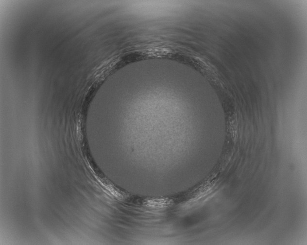 X0000059070757200510071108