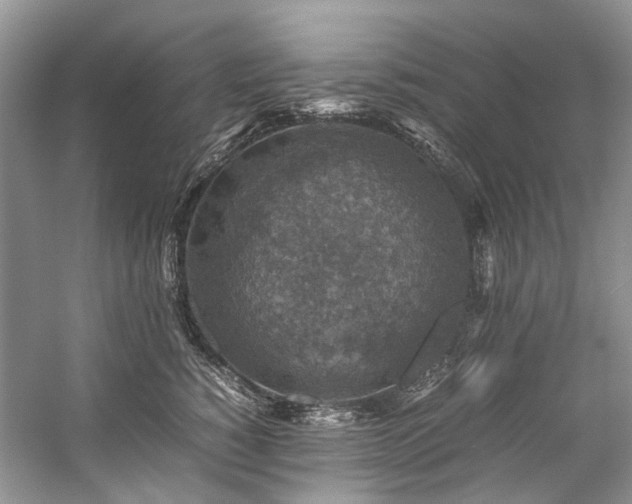 X0000059070760200510071108