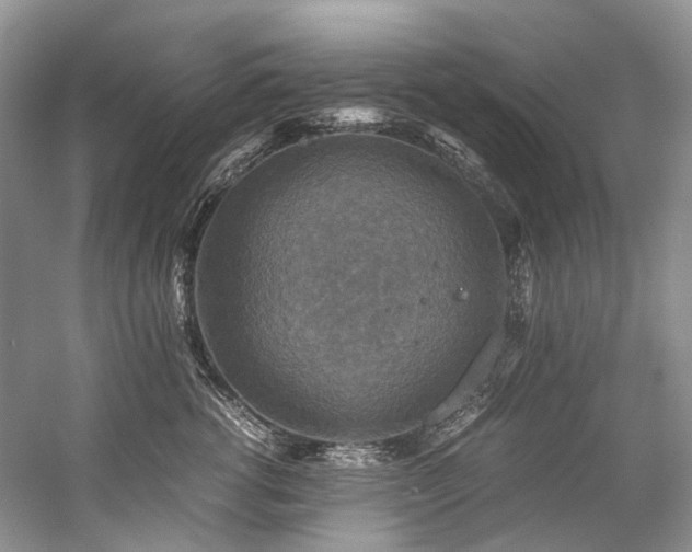 X0000059070762200510071108
