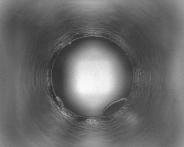 X0000059070764200510071108