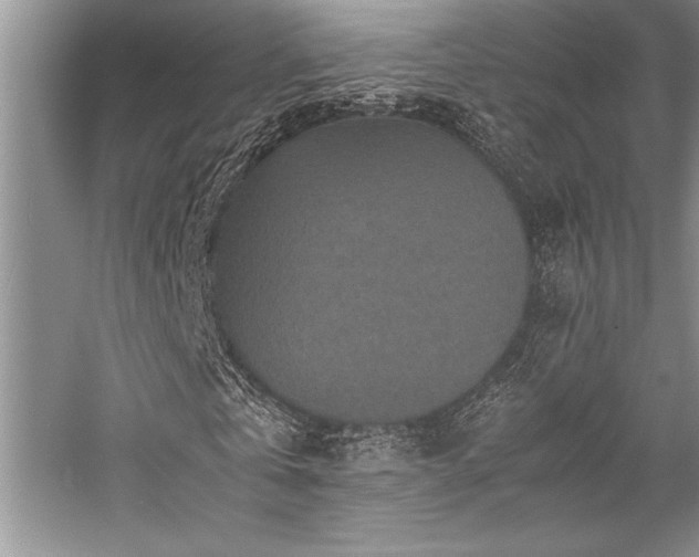 X0000059070769200510071108