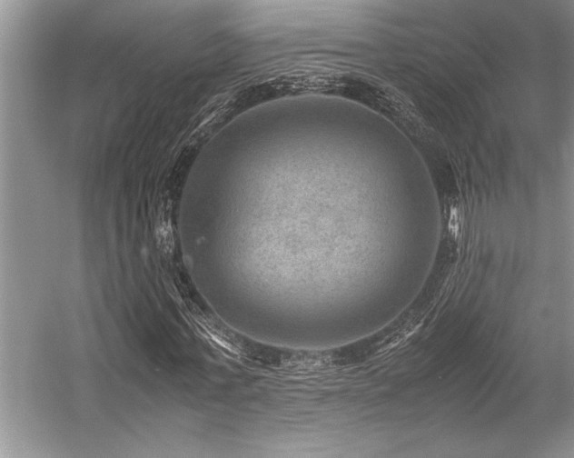 X0000059070771200510071108