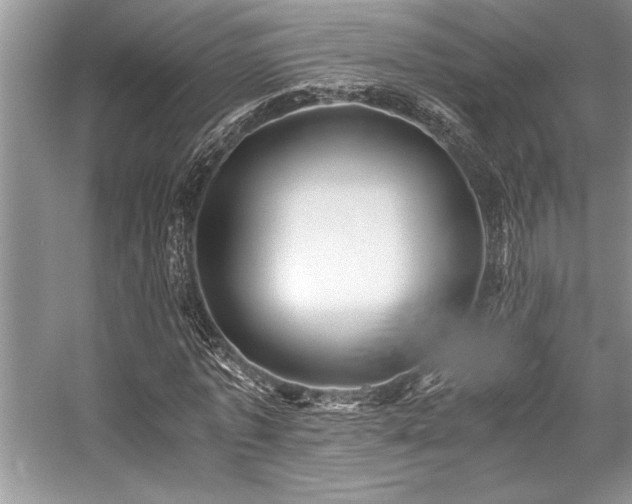 X0000059070773200510071108