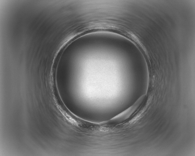 X0000059070787200510071107