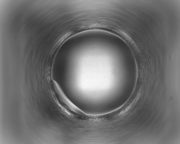 X0000059070793200510071107